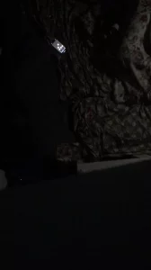 身临其境版和纹身社会姐姐彻夜缠绵小宠物观战