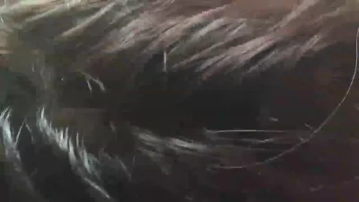 玩弄淫贱人妻婊子，舔干净鸡巴上的逼水继续操母狗黑逼
