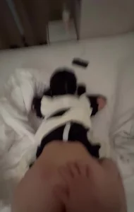 07年18岁小母狗对白清晰后入调教抽搐