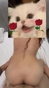 广州寻固定女伴