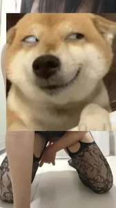 在厕所骚货忍不住的喷