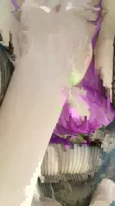 内射熟女